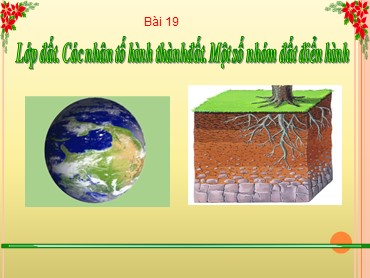 Bài giảng Địa lí 6 Sách Chân trời sáng tạo - Bài 19: Lớp đất. Các nhân tố hình thành đất. Một số nhóm đất điển hình