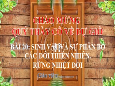 Bài giảng Địa lí 6 Sách Chân trời sáng tạo - Bài 20: Sinh vật và sự phân bố các đới thiên nhiên. Rừng nhiệt đới