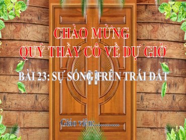 Bài giảng Địa lí 6 Sách Kết nối tri thức - Bài 23: Sự sống trên Trái Đất