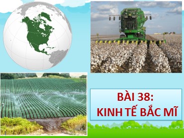 Bài giảng Địa lí 7 - Bài 38: Kinh tế Bắc Mĩ