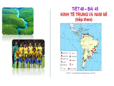 Bài giảng Địa lí 7 - Tiết 48, Bài 45: Kinh tế Trung và Nam Mĩ (Tiếp theo)