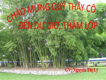 Bài giảng Ngữ văn 6 - Tiết 107: Văn bản: Cây tre Việt Nam (Thép Mới) - Nguyễn Thị Lý