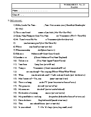 Phiếu bài tập môn Tiếng Anh Lớp 4 - Phiếu số 23