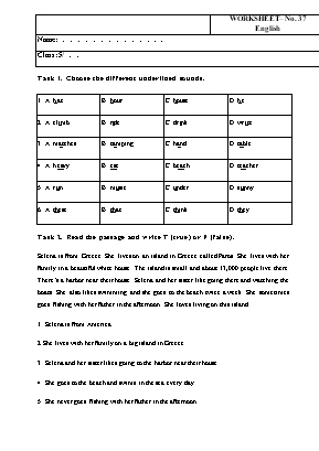 Phiếu bài tập môn Tiếng Anh Lớp 5 - Phiếu số 37