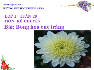 Bài giảng Tiếng Việt Lớp 1 - Kể chuyện: Bông hoa cúc trắng - Năm học 2019-2020 - Trường Tiểu học Trung Lập Hạ