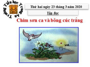 Bài giảng Tiếng Việt Lớp 3 - Tập đọc: Chim sơn ca và bông cúc trắng - Năm học 2019-2020 - Trường Tiểu học Trung An