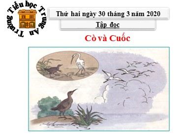 Bài giảng Tiếng Việt Lớp 3 - Tập đọc: Cò và cuốc - Năm học 2019-2020 - Trường Tiểu học Trung An