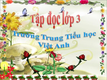 Bài giảng Tiếng Việt Lớp 3 - Tập đọc: Người con của Tây Nguyên - Nguyễn Thị Thu Hiền