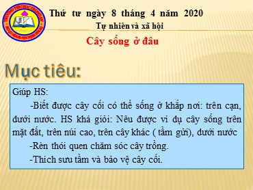 Bài giảng Tự nhiên và xã hội Lớp 2 - Bài: Cây sống ở đâu - Năm học 2019-2020 - Trường Tiểu học Trung An