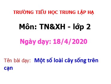 Bài giảng Tự nhiên và xã hội Lớp 2 - Bài: Một số loài cây sống trên cạn - Năm học 2020-2021 - Trường Tiểu học Trung Lập Hạ