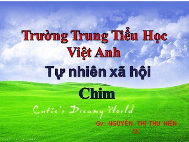 Bài giảng Tự nhiên và xã hội Lớp 3 - Bài 53: Chim - Nguyễn Thị Thu Hiền