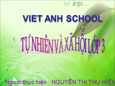 Bài giảng Tự nhiên và xã hội Lớp 3 - Bài: Thực vật - Nguyễn Thị Thu Hiền