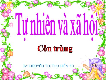 Bài giảng Tự nhiên xã hội Lớp 3 - Bài: Côn trùng - Nguyễn Thị Thu Hiền