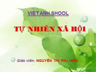 Bài giảng Tự nhiên xã hội Lớp 3 - Tiết 20: Họ nội, họ ngoại - Nguyễn Thị Thu Hiền