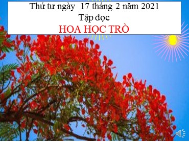Bài giảng Tiếng Việt Lớp 4 - Tập đọc: Hoa học trò - Năm học 2020-2021