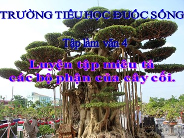 Bài giảng Tiếng Việt Lớp 4 - Tập làm văn: Luyện tập miêu tả các bộ phận của cây cối - Trường Tiểu học Đuốc Sống
