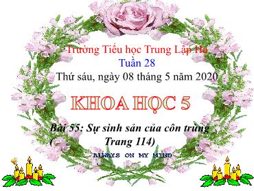 Bài giảng Khoa học Lớp 5 - Bài 55: Sự sinh sản của côn trùng - Năm học 2019-2020 - Trường Tiểu học Trung Lập Hạ