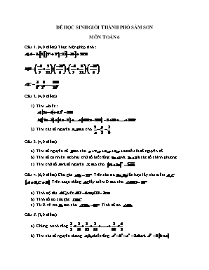 Đề học sinh giỏi Thành phố Sầm Sơn - Môn: Toán 6