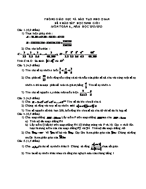 Đề khảo sát học sinh giỏi - Môn: Toán học 6