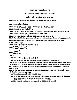 Đề thi học sinh giỏi cấp trường môn Toán 6