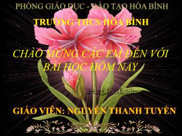 Bài giảng GDCD 6 - Tiết 1+2, Bài 1: Tự hào về truyền thống gia đình, dòng họ - Nguyễn Thanh Tuyền