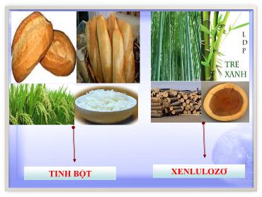 Bài giảng Hóa Học 9 - Tiết 63, Bài 52: Tinh bột và Xenlulozơ