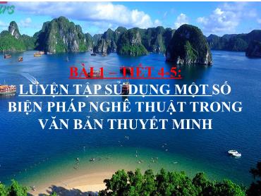 Bài giảng Ngữ Văn 9 - Tiết 4+5, Bài 1: Luyện tập sử dụng một số biện pháp nghệ thuật trong văn bản thuyết minh