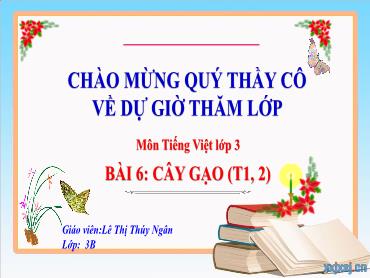 Bài giảng Tiếng Việt 3 - Bài 6: Cây gạo (Tiết 1+2) NH 2024-2025 (Lê Thị Thúy Ngân)