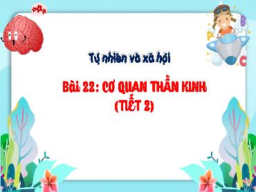Bài giảng TNXH 3 - Bài 22: Cơ quan thần kinh (Tiết 2) NH 2024-2025 (Lê Thị Thúy Ngân)