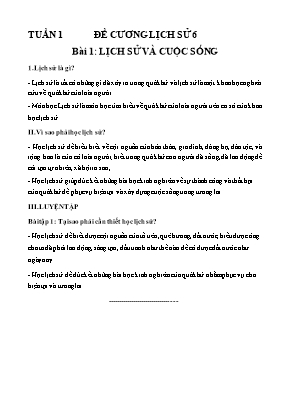 Kế hoạch bài dạy Lịch Sử 6 - Tuần 1+2, Bài 1: Lịch sử và cuộc sống + Bài 2: Dựa vào đâu để biết và phục dựng lại lịch sử?