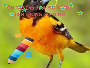 Bài giảng Công nghệ 6 (Cánh diều) - Ôn tập chủ đề 4: Đồ dùng điện trong gia đình - Trường THCS Thái Sơn