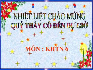 Bài giảng Khoa học tự nhiên 6 (Kết nối tri thức) - Bài 6: Đo khối lượng - Trường THCS Thái Sơn