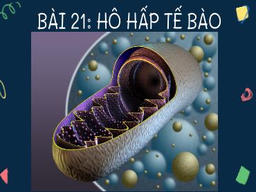 Bài giảng Khoa học tự nhiên 7 (Cánh diều) - Bài 21: Hô hấp tế bào - Trường THCS Thái Sơn