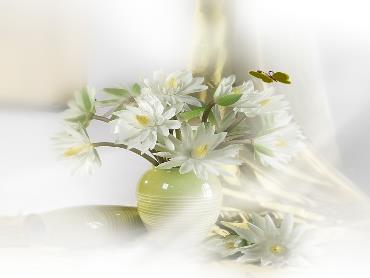 Bài giảng Khoa học tự nhiên 7 (Cánh diều) - Bài 23: Trao đổi khí ở sinh vật - Trường THCS Thái Sơn