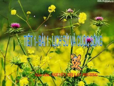 Bài giảng Lịch sử 6 (Kết nối tri thức) - Bài 1: Lịch sử và cuộc sống - Nguyễn Thị Lan Phương