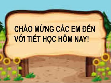 Bài giảng Lịch sử 6 (Kết nối tri thức) - Bài 16: Các cuộc khởi nghĩa tiêu biểu giành độc lập trước thế kỉ X - Trường THCS Thái Sơn