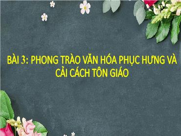 Bài giảng Lịch sử 7 (Kết nối tri thức) - Bài 3: Phong trào văn hóa phục hưng và cải cách tôn giáo - Trường THCS Thái Sơn