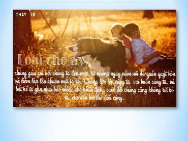 Bài giảng Ngữ văn 6 (Cánh diều) - Bài: Tại sao nên có động vật trong nhà - Trường THCS Thái Sơn