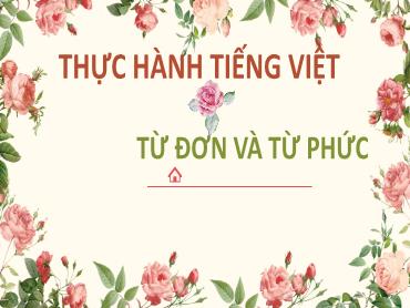 Bài giảng Ngữ văn 6 (Chân trời sáng tạo) - Bài: Thực hành Tiếng Việt - Trường THCS Thái Sơn