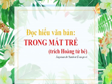 Bài giảng Ngữ văn 8 (Cánh diều) - Bài 6: Trong mắt trẻ - Trường THCS Thái Sơn