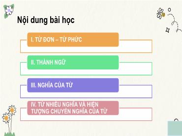 Bài giảng Ngữ văn 9 - Tiết 50, Bài: Tổng kết từ vựng - Trường THCS Thái Sơn