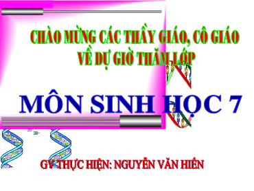 Bài giảng Sinh học 7 - Tiết 22, Bài: Đặc điểm chung và vai trò của ngành thân mềm - Trường THCS Thái Sơn
