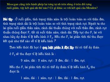 Bài giảng Sinh học 9 - Bài 13: Di truyền liên kết - Trường THCS Thái Sơn