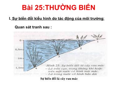Bài giảng Sinh học 9 - Bài 25: Thường biến - Trường THCS Thái Sơn