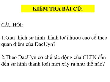 Bài giảng Sinh học 9 - Bài: Học thuyết tiến hóa tổng hợp hiện đại - Trường THCS Thái Sơn