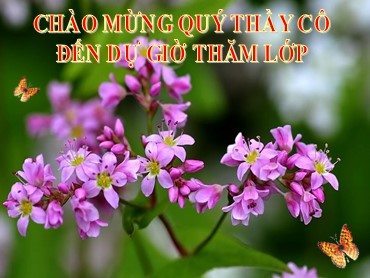 Bài giảng Sinh học 9 - Bài: Khôi phục môi trường và giữ gìn thiên nhiên hoang dã - Trường THCS Thái Sơn