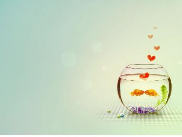 Bài giảng Tiếng Anh 8 (Global Success) - Unit 2: Life in the countryside, Lesson 3 - Trường THCS Thái Sơn