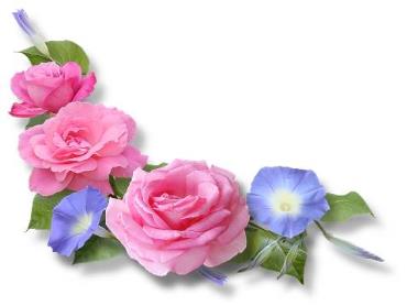 Bài giảng Tiếng Anh 9 - Unit 4: Life in the past, Lesson 2 - Trường THCS Thái Sơn