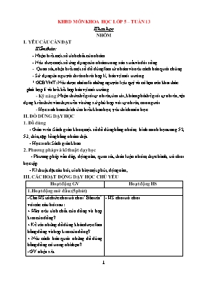 Giáo án Khoa học Lớp 5 - Tuần 13